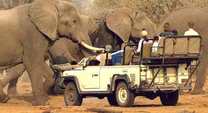 Akcesoria na safari