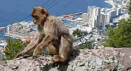Gibraltar na wycieczkę